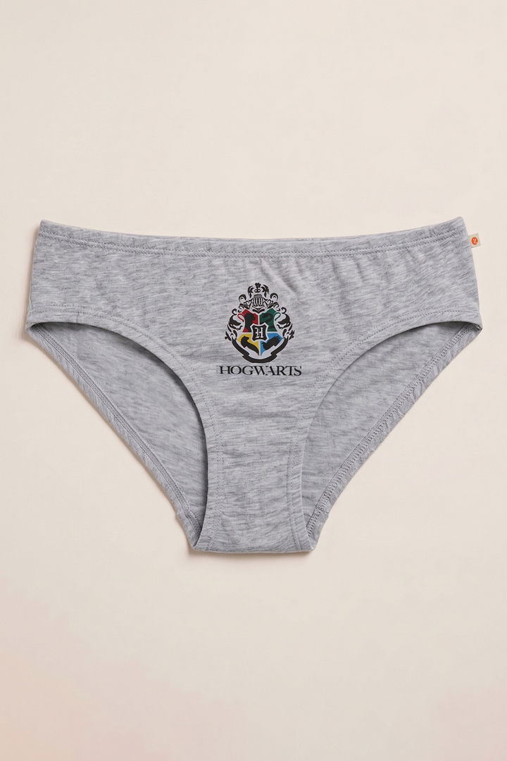 Zivame Girls Harry Potter Briefs (Pack of 2) - Multicolor — image 6